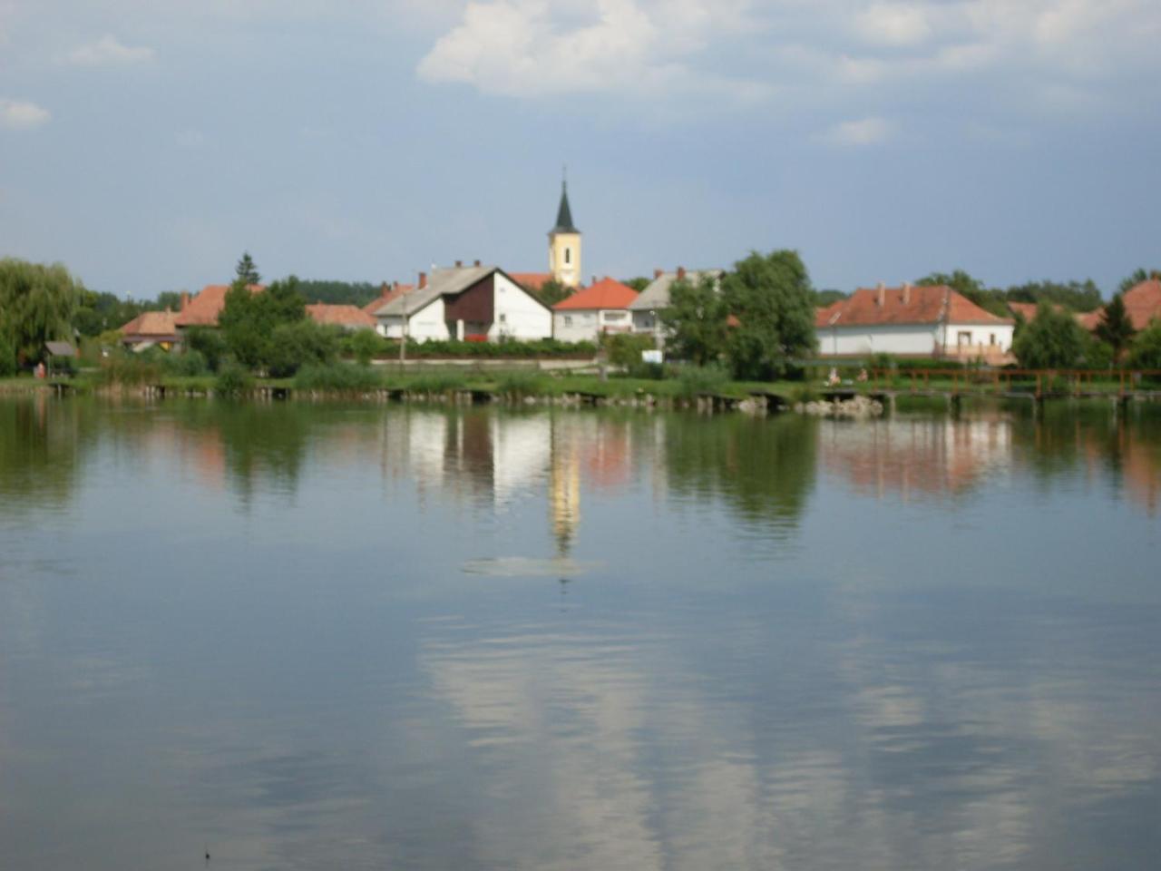 Nagybajcsi Lovaspark Es Otthon Vendeghaz 외부 사진