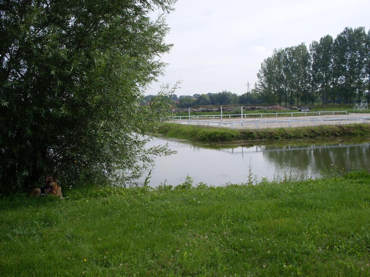 Nagybajcsi Lovaspark Es Otthon Vendeghaz 외부 사진